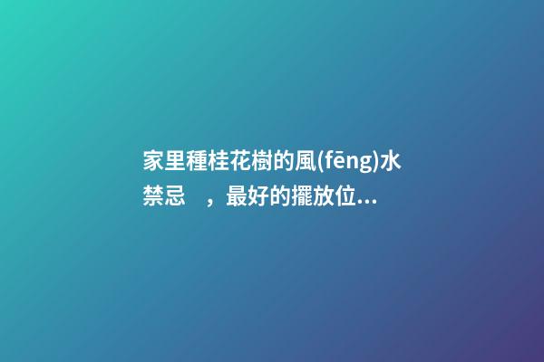 家里種桂花樹的風(fēng)水禁忌，最好的擺放位置在這